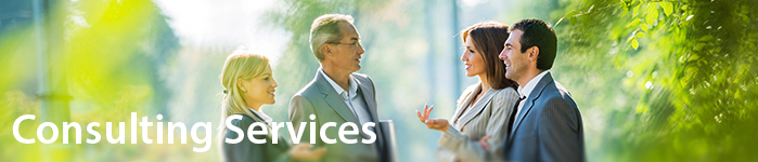 Header image for Consulting Services.