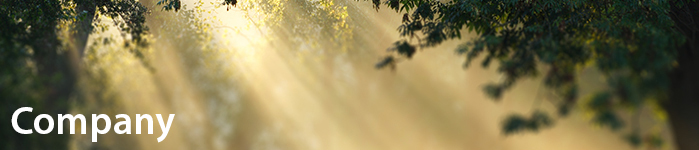 translation-services-life-science-company-overview-LUZ.jpg